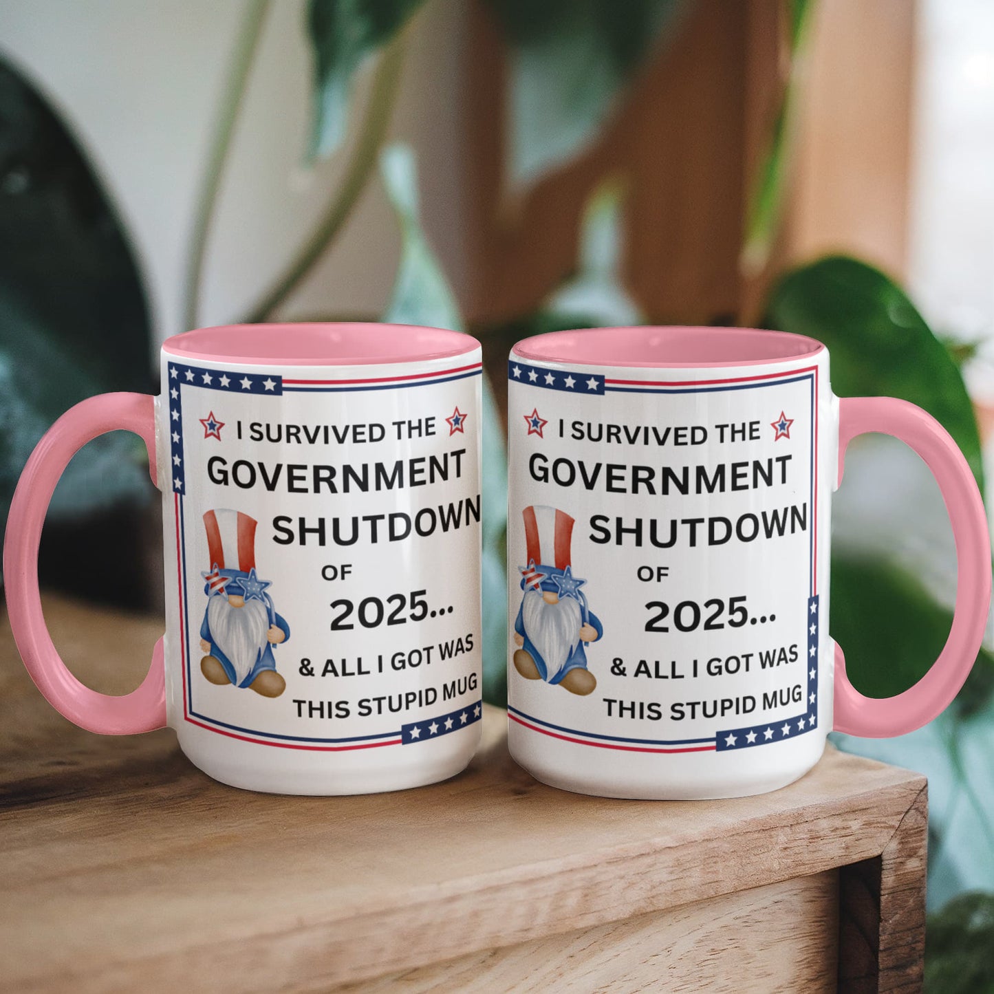 Government Shutdown Survivor Mug - 11oz, 15oz